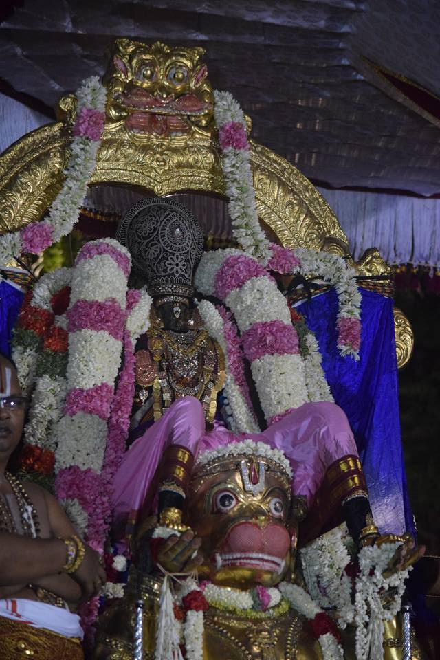 Thiruvallikeni-Sri-Parthasarathy-Swami4