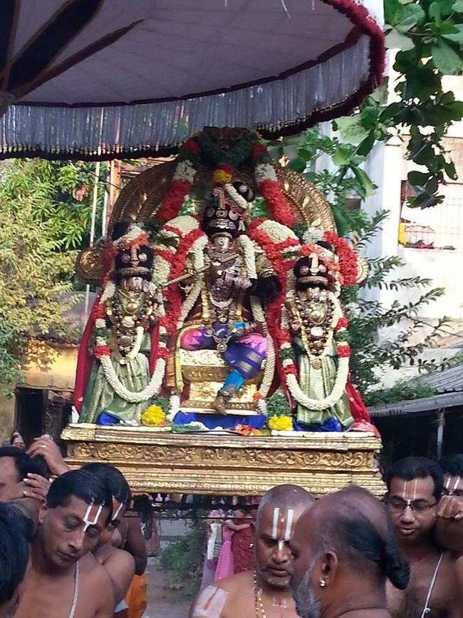 Thiruvallikeni-Sri-Parthasarathy-Swami6