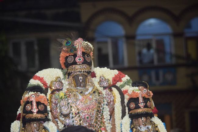 Thiruvallikeni-Sri-Parthasarathy-Swami6