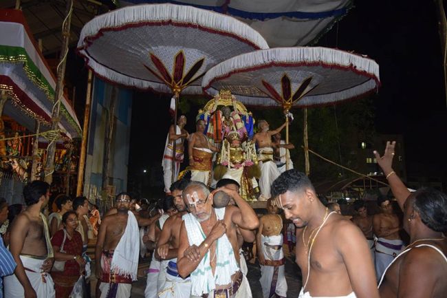 Thiruvallikeni-Sri-Parthasarathy-Swami8