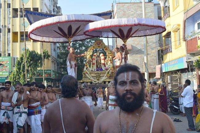 Thiruvallikeni-Sri-Parthasarathy-Swami9
