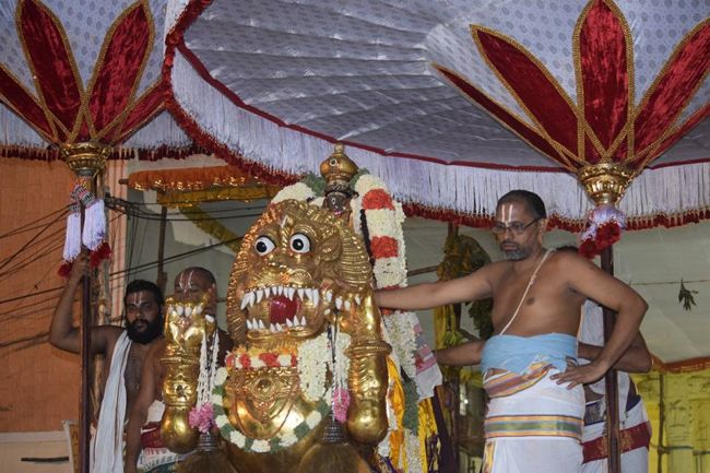 Thiruvallikeni-Sri-Parthasarathy-Swami9