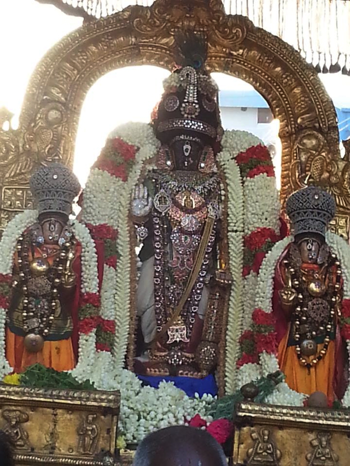 Thiruvallikeni-Sri-Parthasarathy-Swamy-02