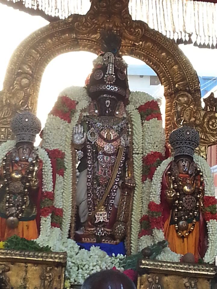 Thiruvallikeni-Sri-Parthasarathy-Swamy-03