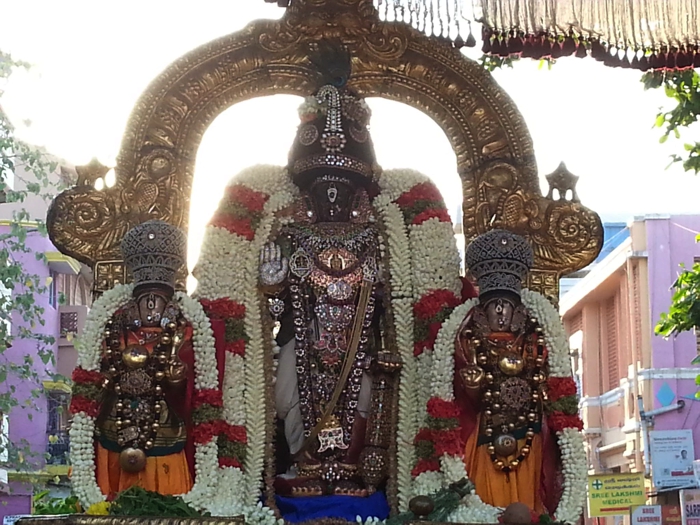 Thiruvallikeni-Sri-Parthasarathy-Swamy-04