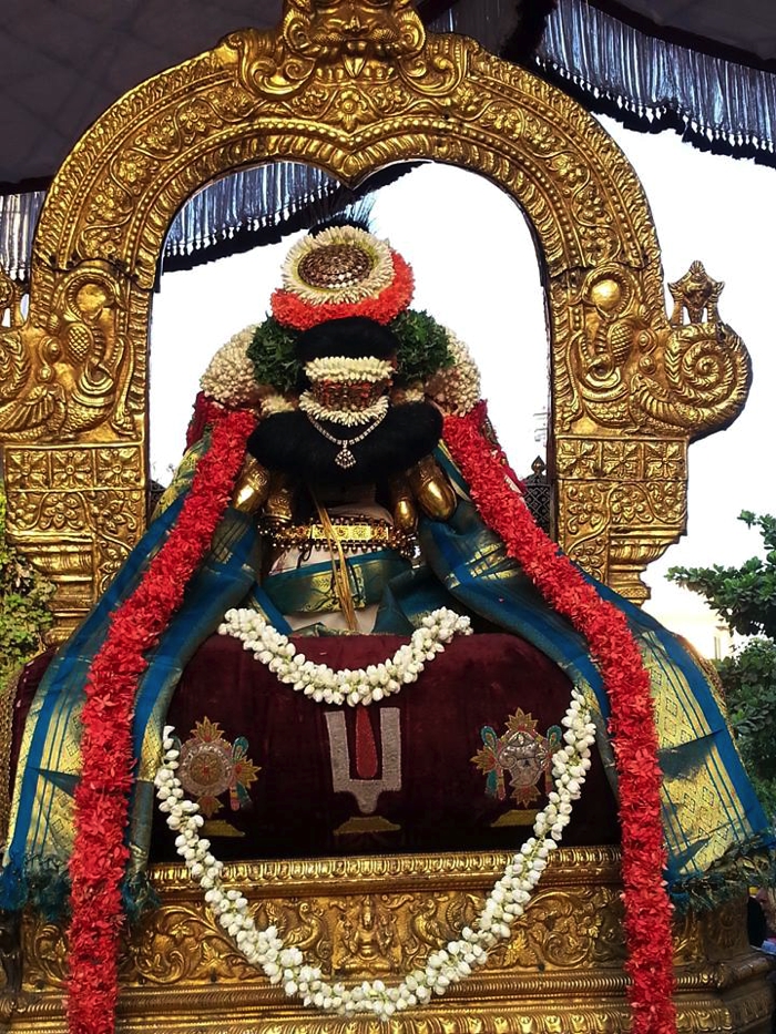 Thiruvallikeni-Sri-Parthasarathy-Swamy-05