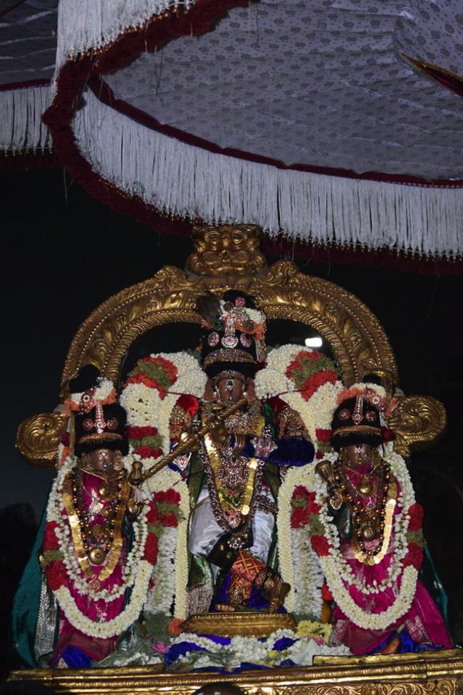 Thiruvallikeni-Sri-ThelliyaSingar_18