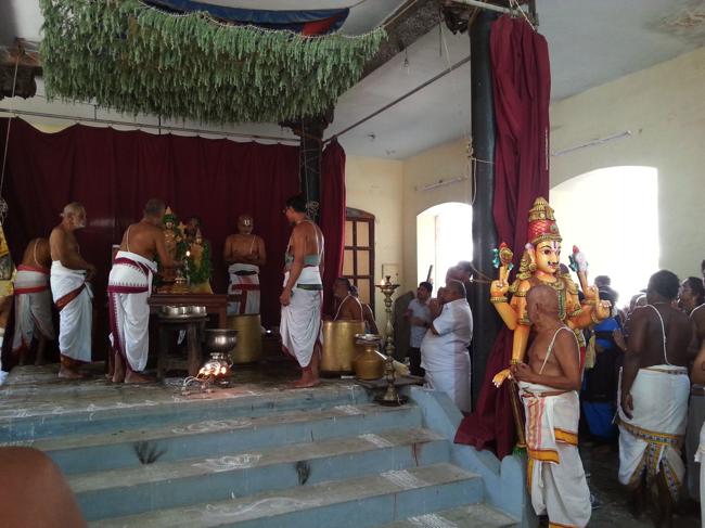 Thiruvallikeni-Sri-ThelliyaSingar_21