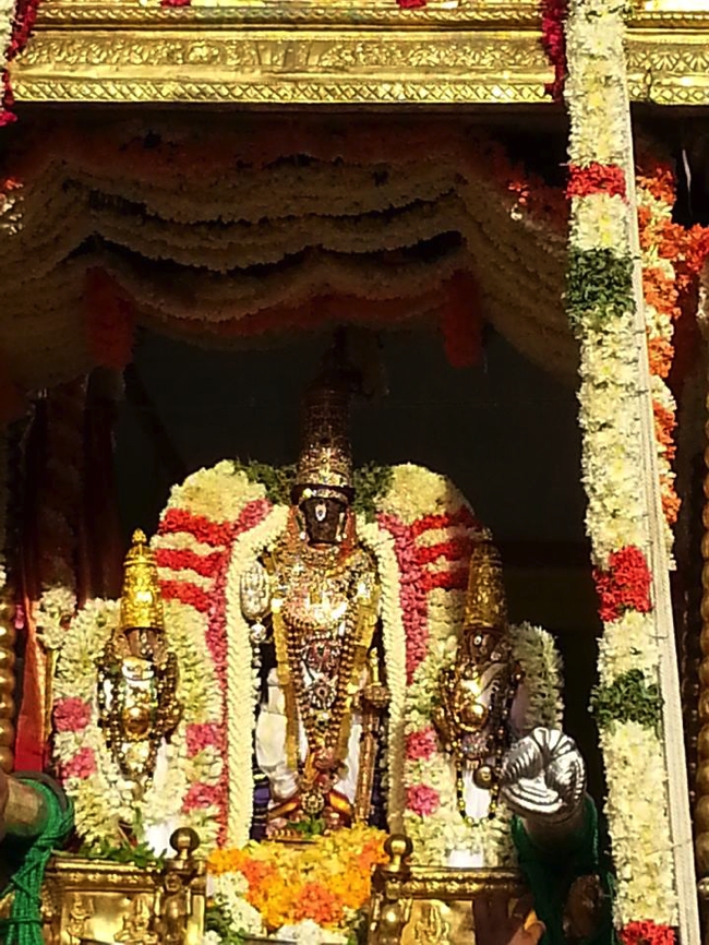 Thiruvallikeni_Chithirai_brahmotsavam_Day6_Morning_20