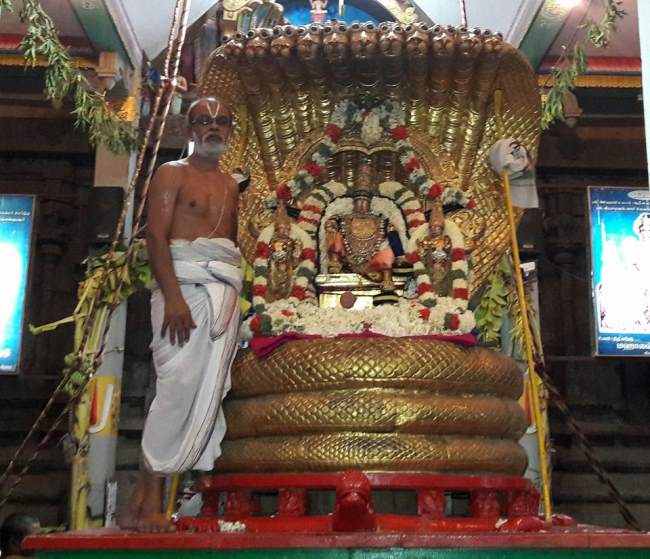 Thiruvallur Chithirai Brahmotsavam day 4 2016001