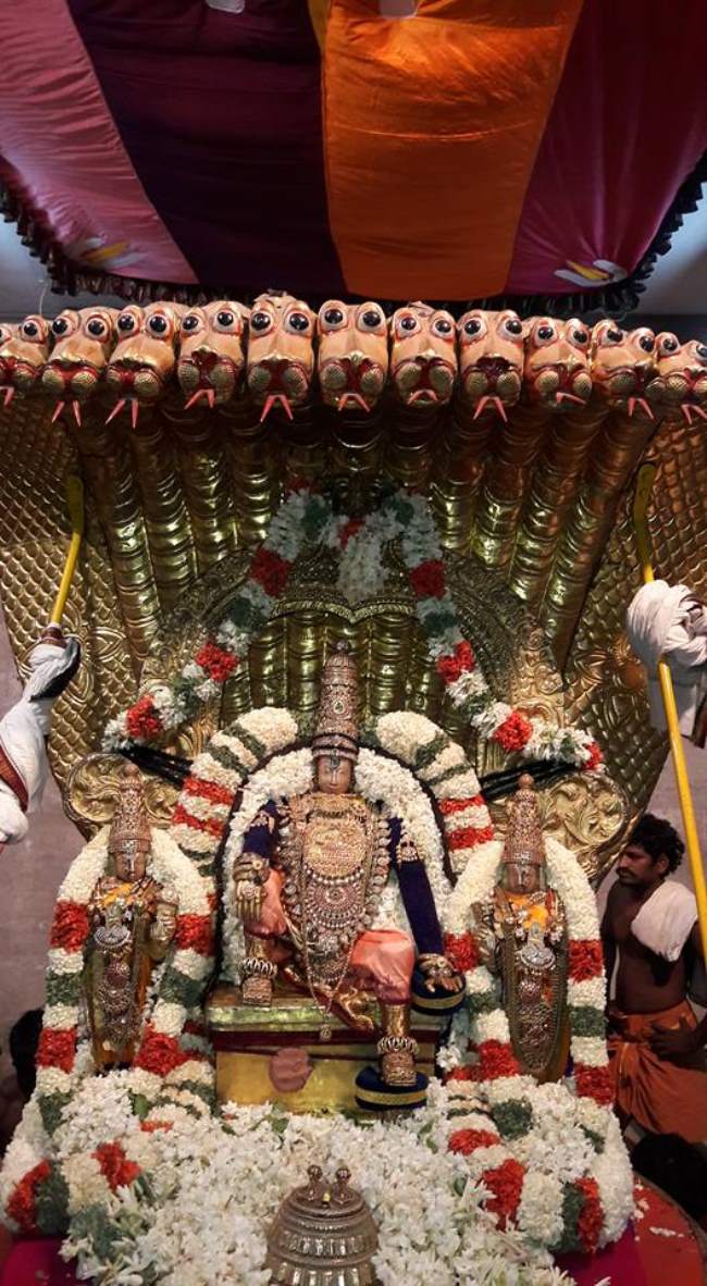 Thiruvallur Chithirai Brahmotsavam day 4 2016004
