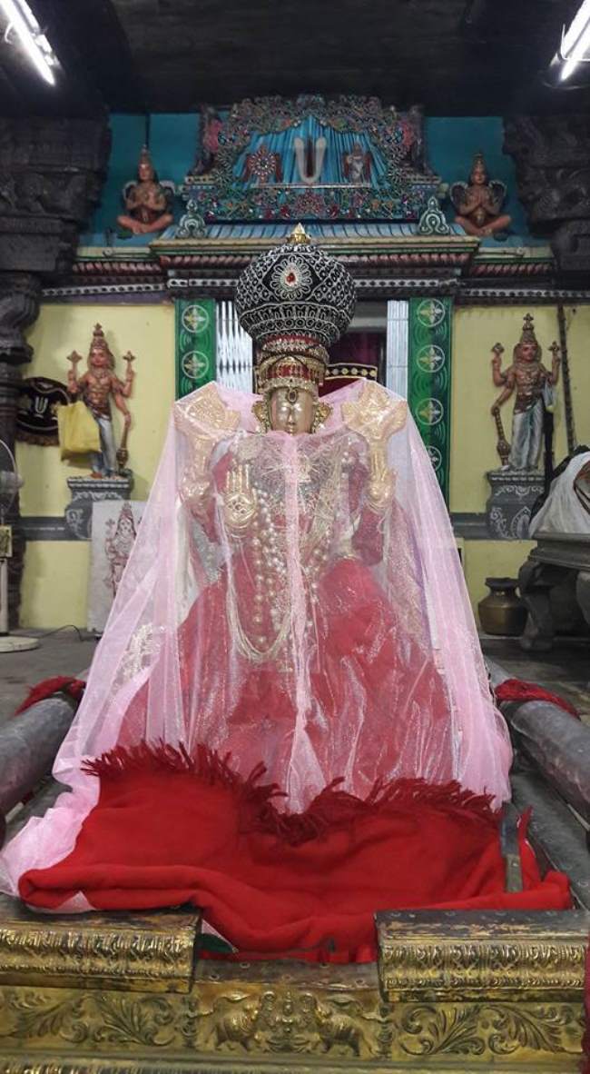 Thiruvallur Chithirai Brahmotsavam day 5001