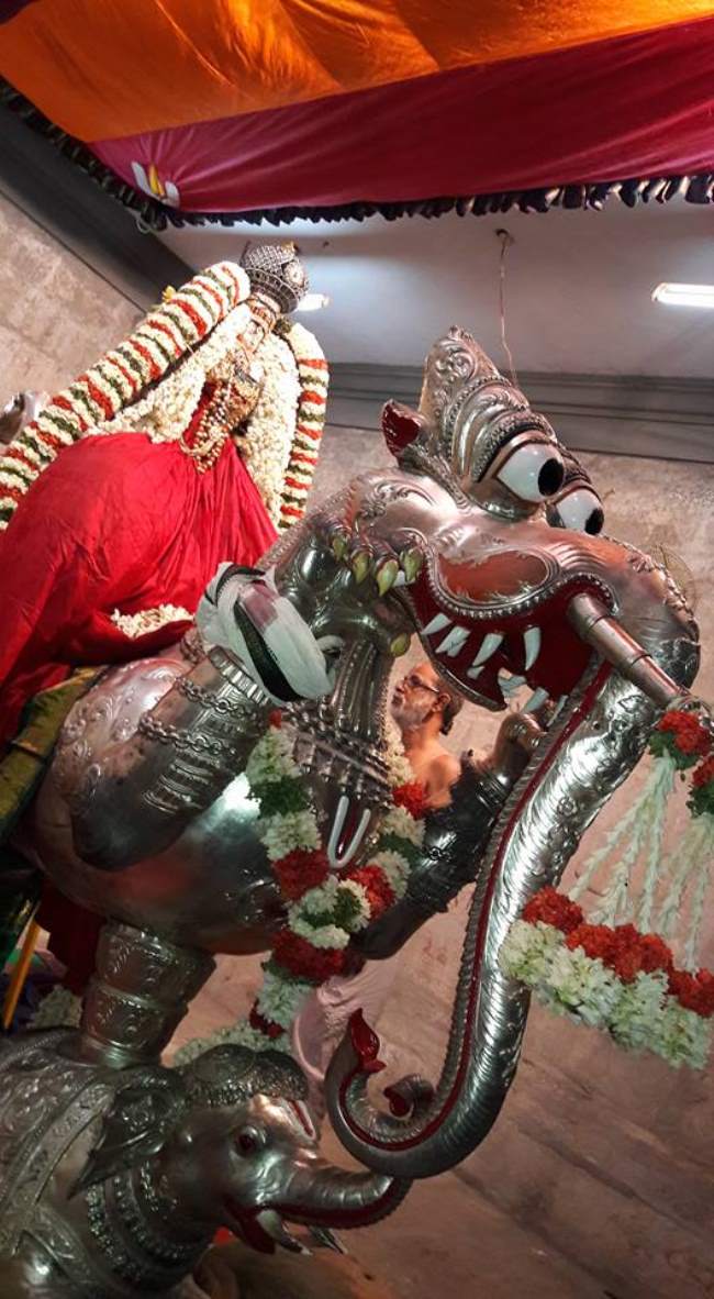 Thiruvallur Chithirai Brahmotsavam day 5005