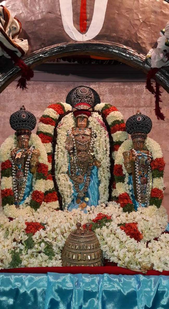 Thiruvallur Chithirai brahmotsavam day 4 2016004
