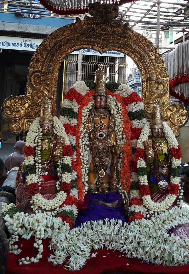 Thiruvallur-Sri-Veeraraghava-Perumal-01