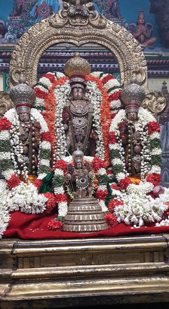 Thiruvallur-Sri-Veeraraghava-Perumal1