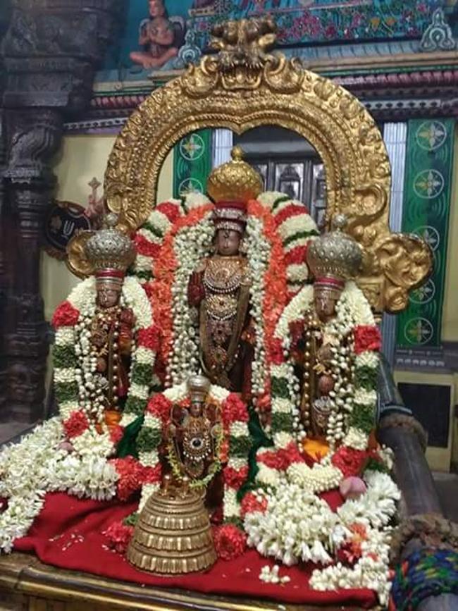 Thiruvallur-Sri-Veeraraghava-Perumal10