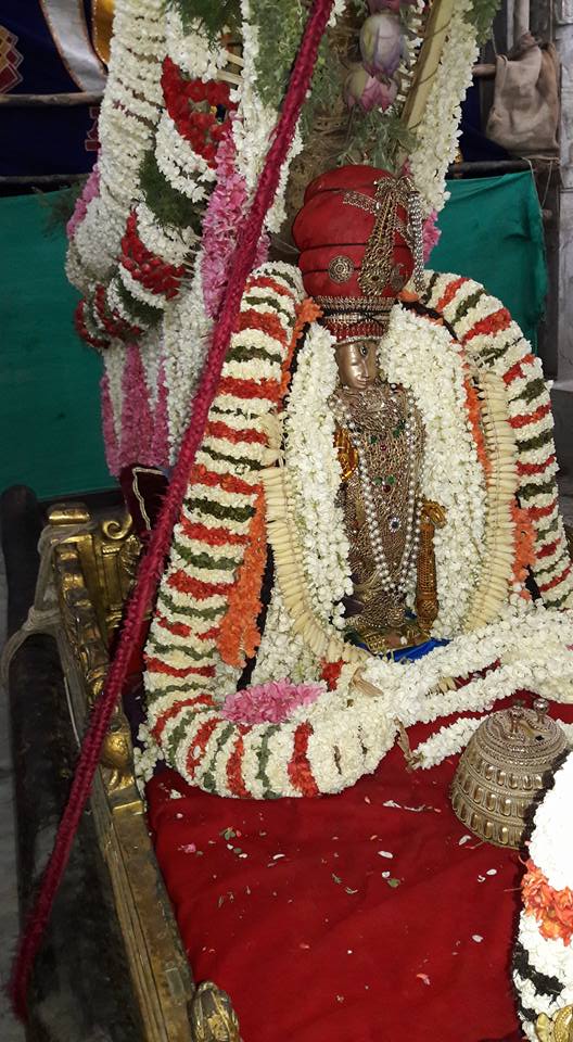 Thiruvallur-Sri-Veeraraghava-Perumal10