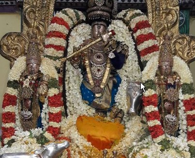 Thiruvallur-Sri-Veeraraghava-Perumal12