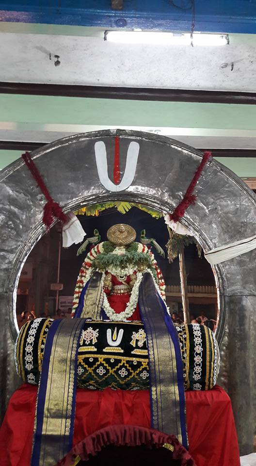 Thiruvallur-Sri-Veeraraghava-Perumal16