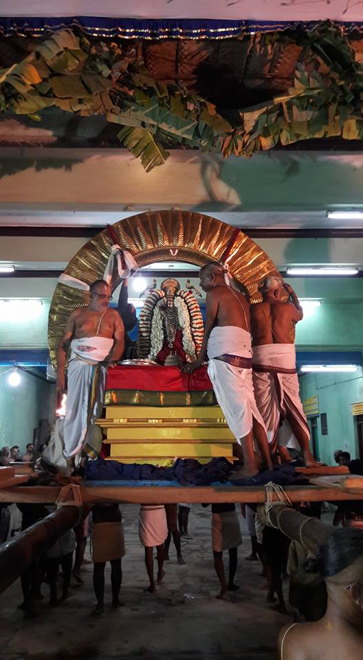 Thiruvallur-Sri-Veeraraghava-Perumal17