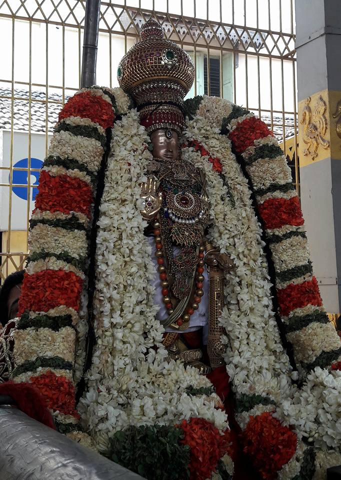 Thiruvallur-Sri-Veeraraghava-Perumal18
