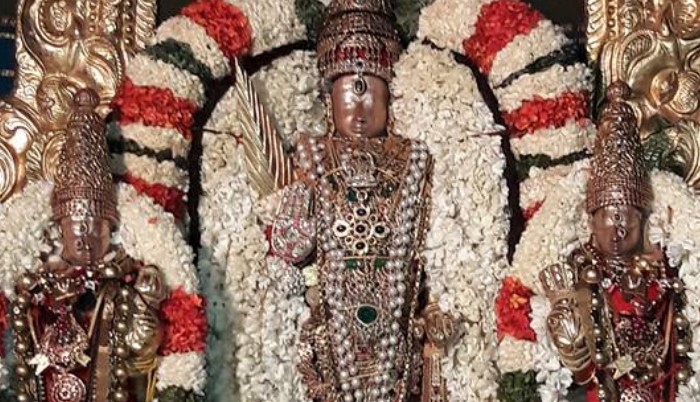 Thiruvallur-Sri-Veeraraghava-Perumal21