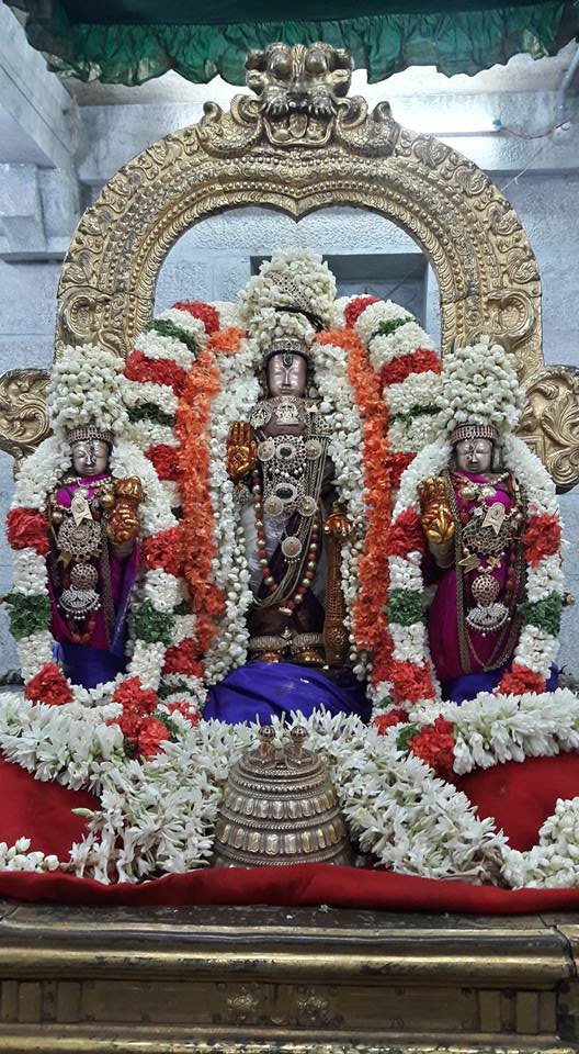 Thiruvallur-Sri-Veeraraghava-Perumal6