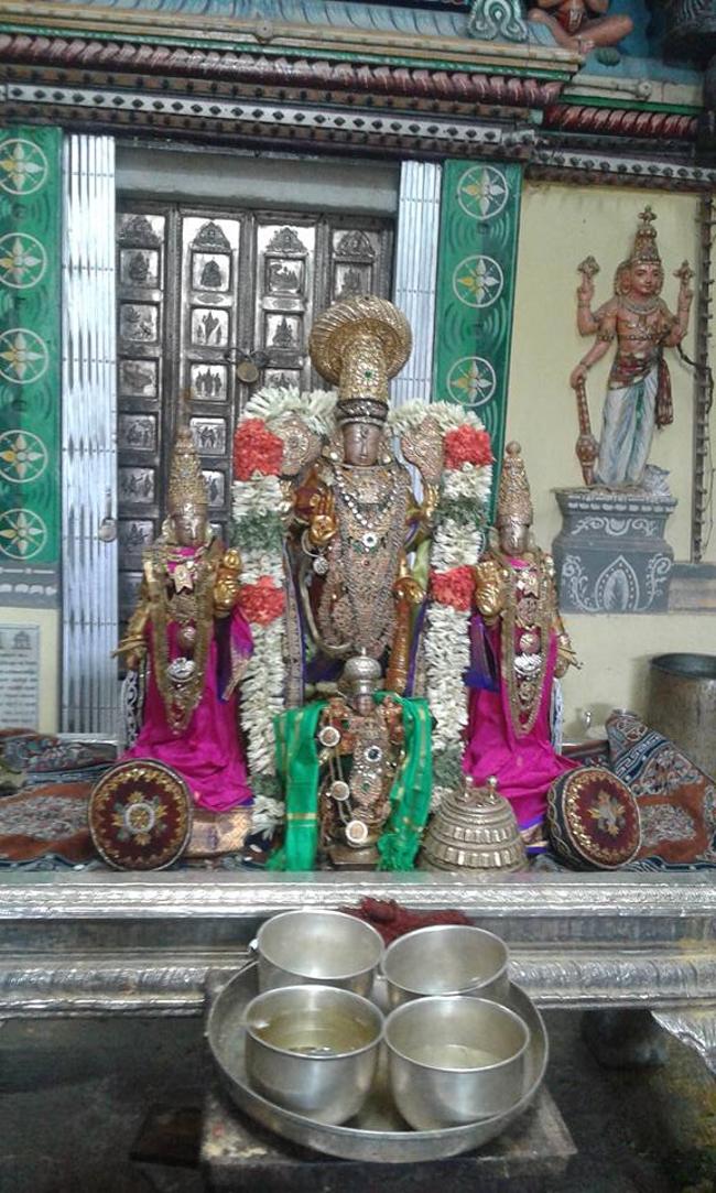 Thiruvallur-Sri-Veeraraghava-Perumal7