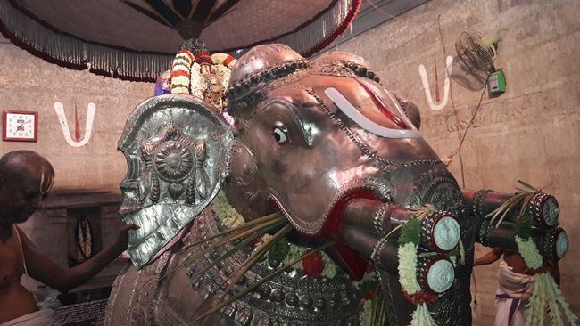 Thiruvallur-Sri-Veeraraghava-Perumal8