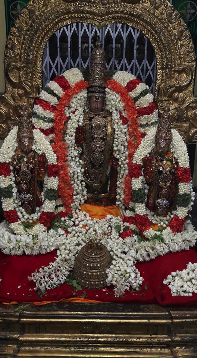 Thiruvallur-Sri-Veeraraghava-Perumal_16