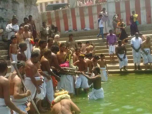Thiruvallur_Veeraragava_Perumal_Day10_02