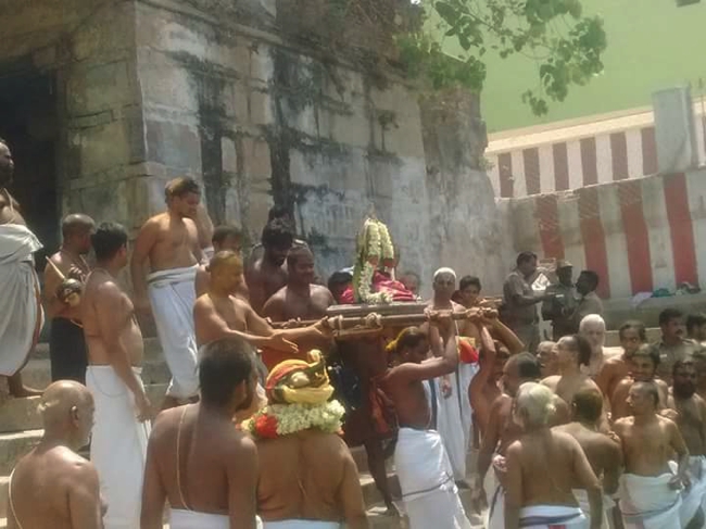 Thiruvallur_Veeraragava_Perumal_Day10_06