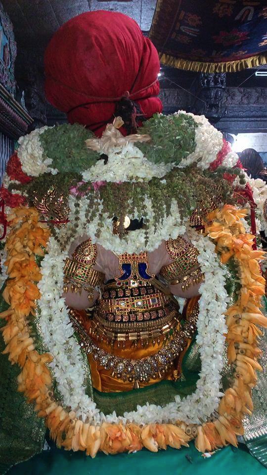 Thiruvallur_Veeraragava_Perumal_Day7_00