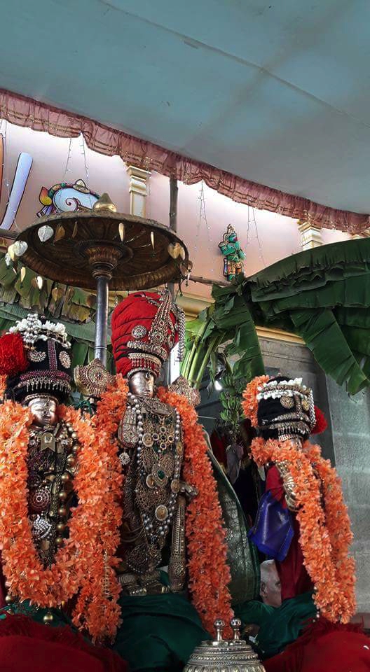 Thiruvallur_Veeraragava_Perumal_Day7_03