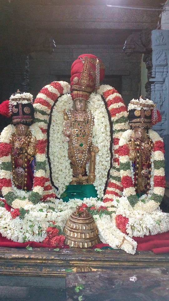 Thiruvallur_Veeraragava_Perumal_Day7_05