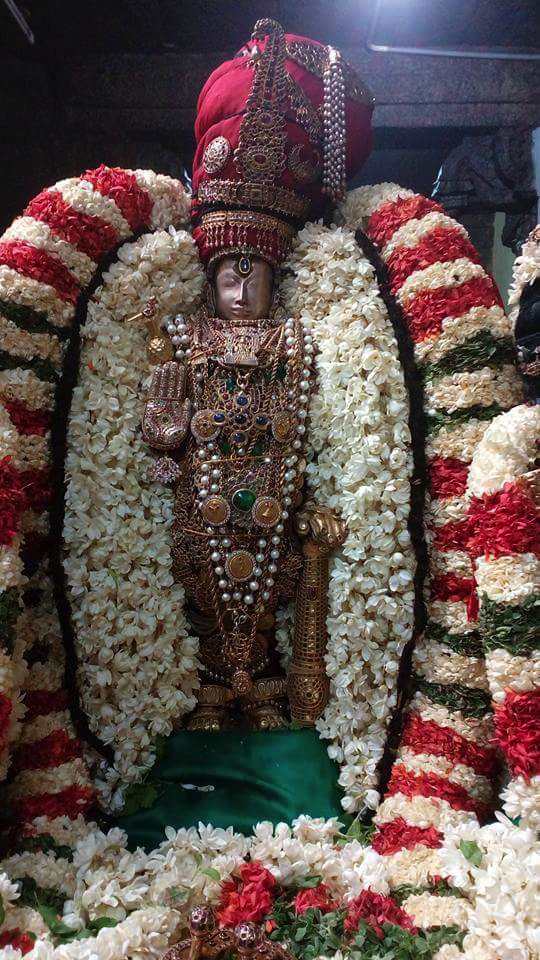 Thiruvallur_Veeraragava_Perumal_Day7_08
