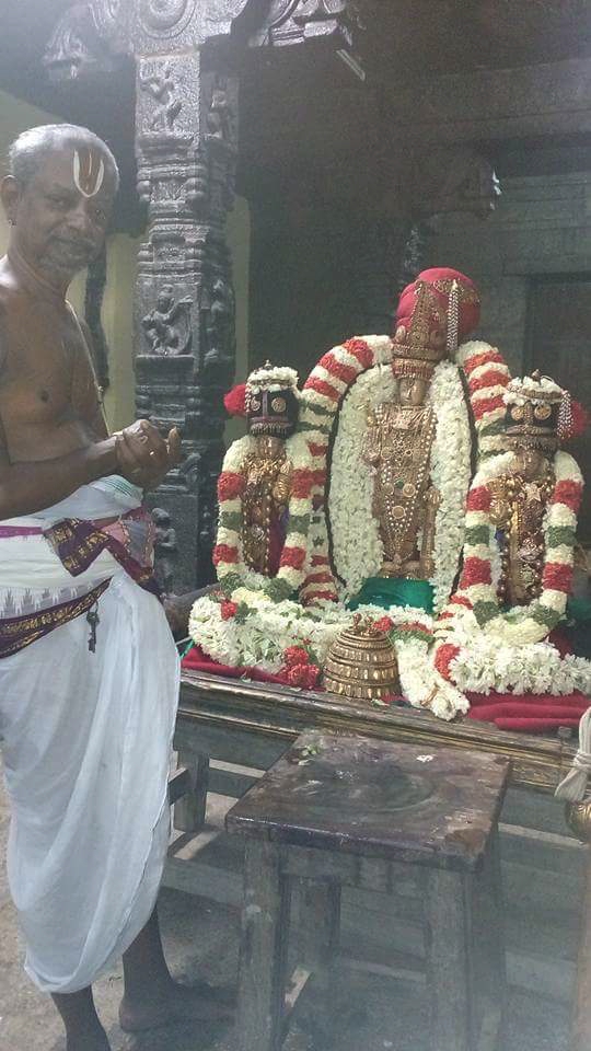 Thiruvallur_Veeraragava_Perumal_Day7_10