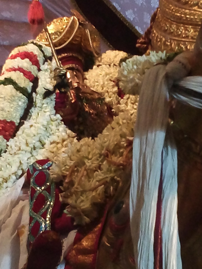 Thiruvallur_Veeraragava_Perumal_Day8_00