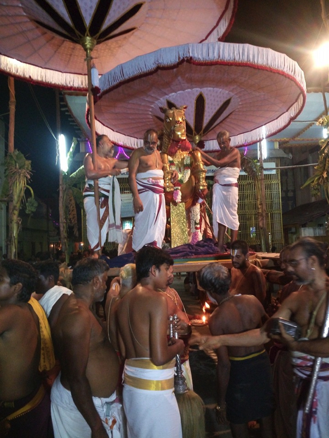 Thiruvallur_Veeraragava_Perumal_Day8_01