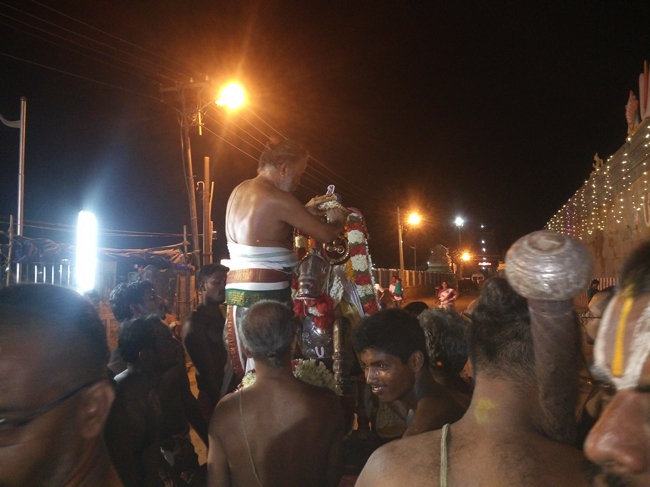 Thiruvallur_Veeraragava_Perumal_Day8_02