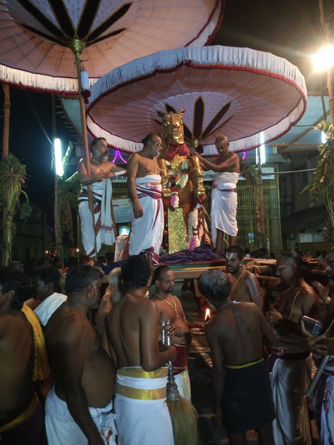 Thiruvallur_Veeraragava_Perumal_Day8_03