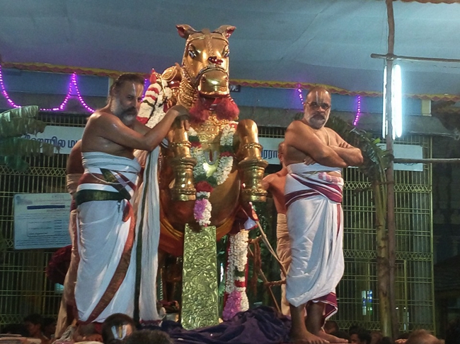 Thiruvallur_Veeraragava_Perumal_Day8_05
