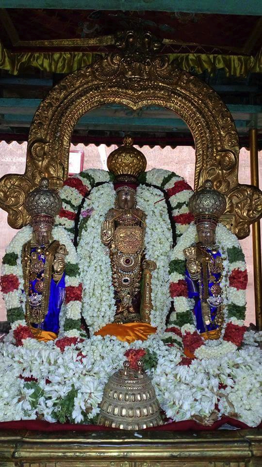 Thiruvallur_Veeraragava_Perumal_Day9_05