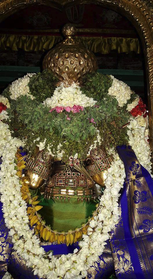 Thiruvallur_Veeraragava_Perumal_Day9_06