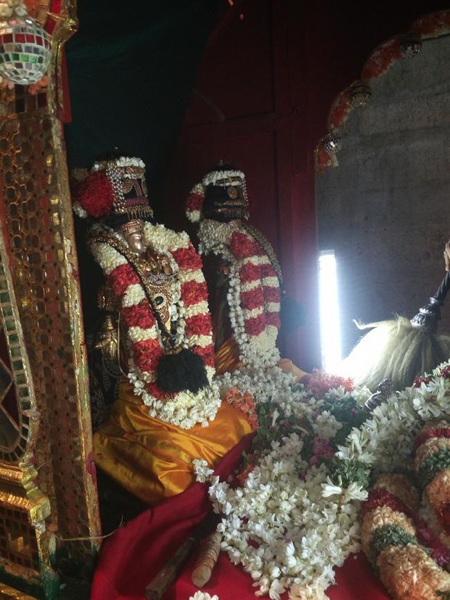 Thiruvallur_Veeraraghava_Perumal_Chithirai_Brahmotsavam_Day10_04