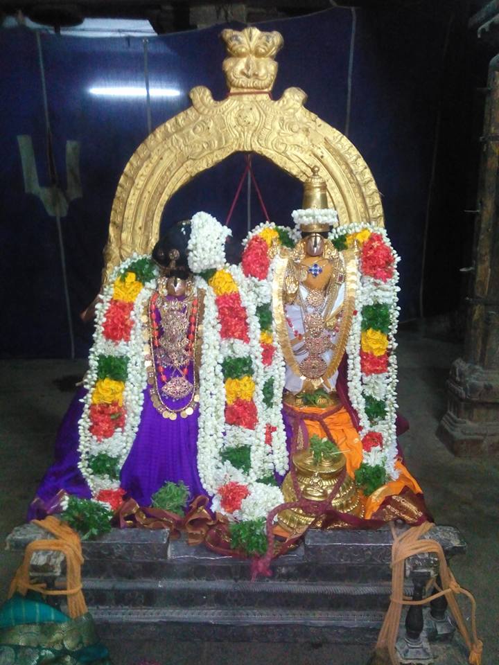 Vanamamalai-Sri-Deivanayaga-Perumal3