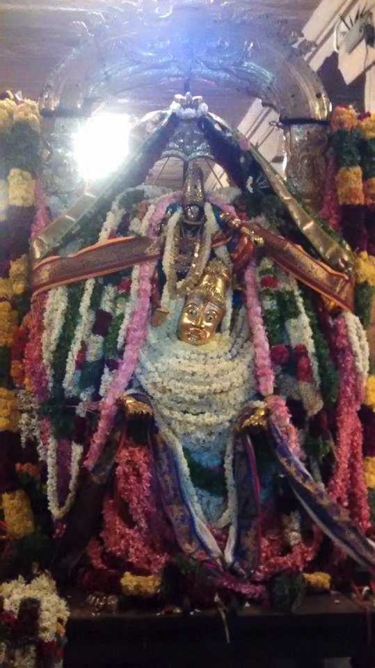 Azhwar_Thirunagari_Vaikasi_Utsavam_Day5_Swami_9_Garuda_Sevai_05