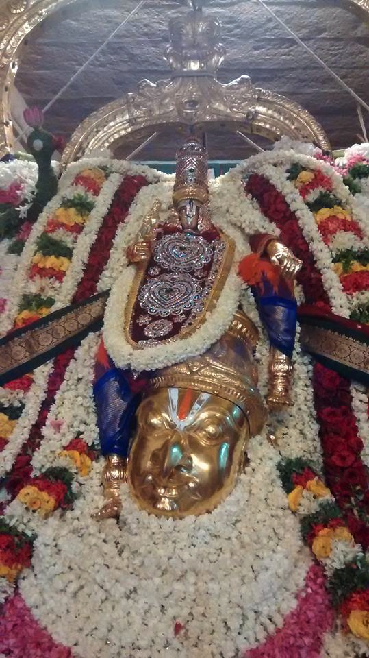 Azhwar_Thirunagari_Vaikasi_Utsavam_Day5_Swami_9_Garuda_Sevai_15