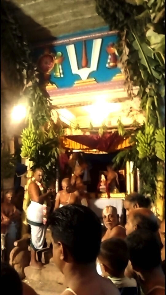 Azhwar_Thirunagari_Vaikasi_Utsavam_Day5_Swami_Nammazhwar_Thirumanjanam_00